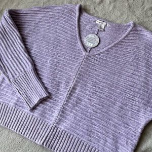 Sincerely Jules Dolman Sleeve Sweater